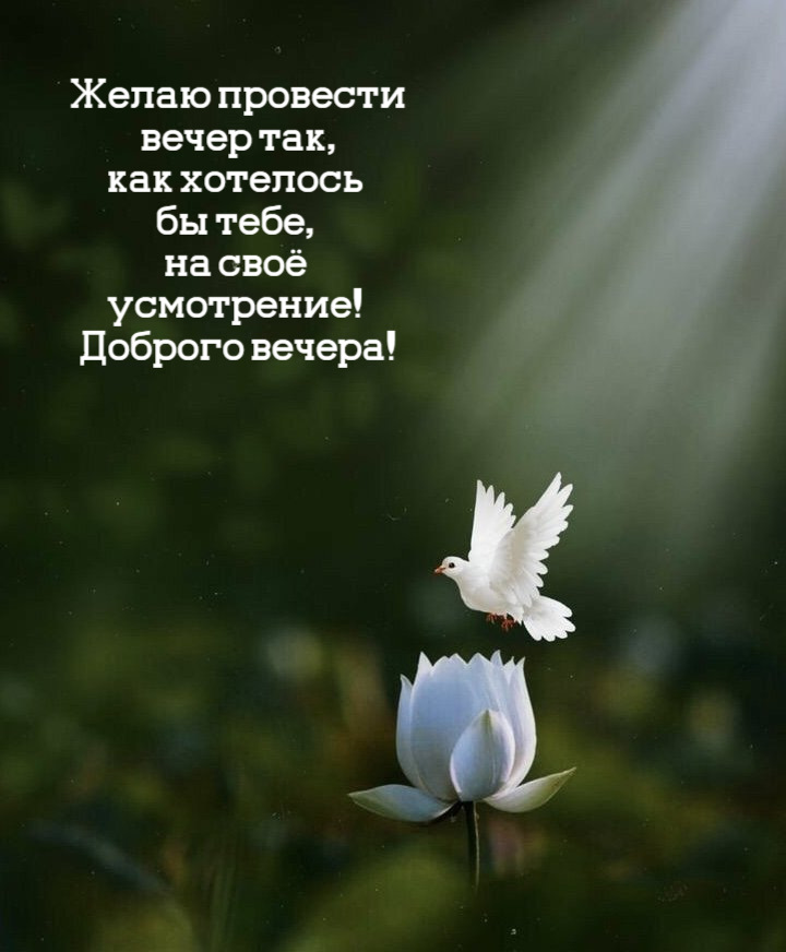 Желаю провести  вечер так,  как хотелось  бы тебе,  на своё  усмотрение!  Доброго вечера!