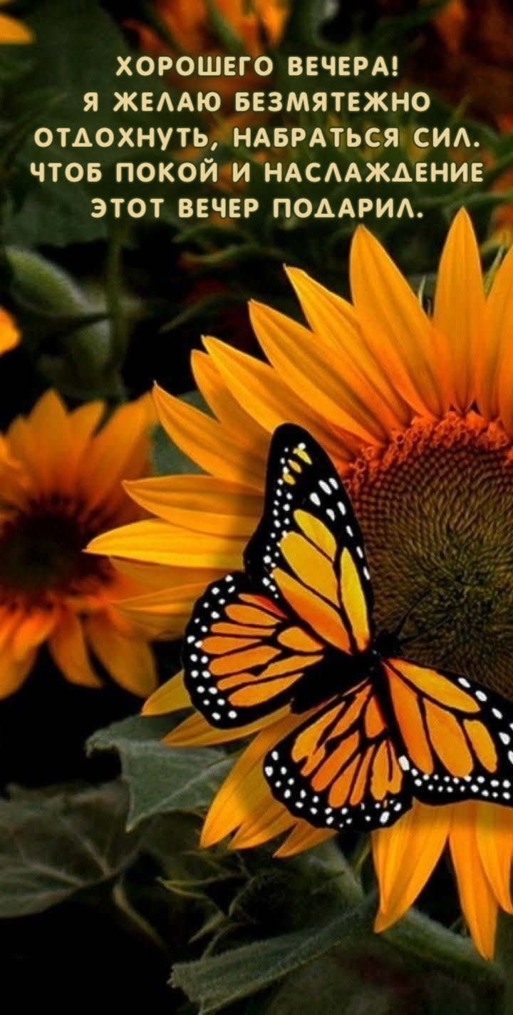 Я желаю безмятежно Отдохнуть, набраться сил.
