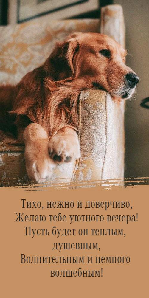 Тихо, нежно и доверчиво