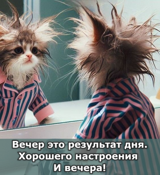 Вечер это результат дня. Хорошего настроения И вечера!