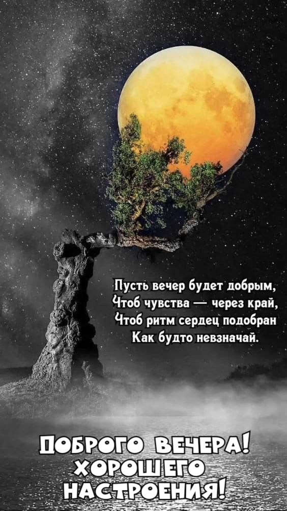 Пусть вечер будет добрым, Чтоб чувства — через край