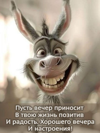 Пусть вечер приносит В твою жизнь позитив И радость.