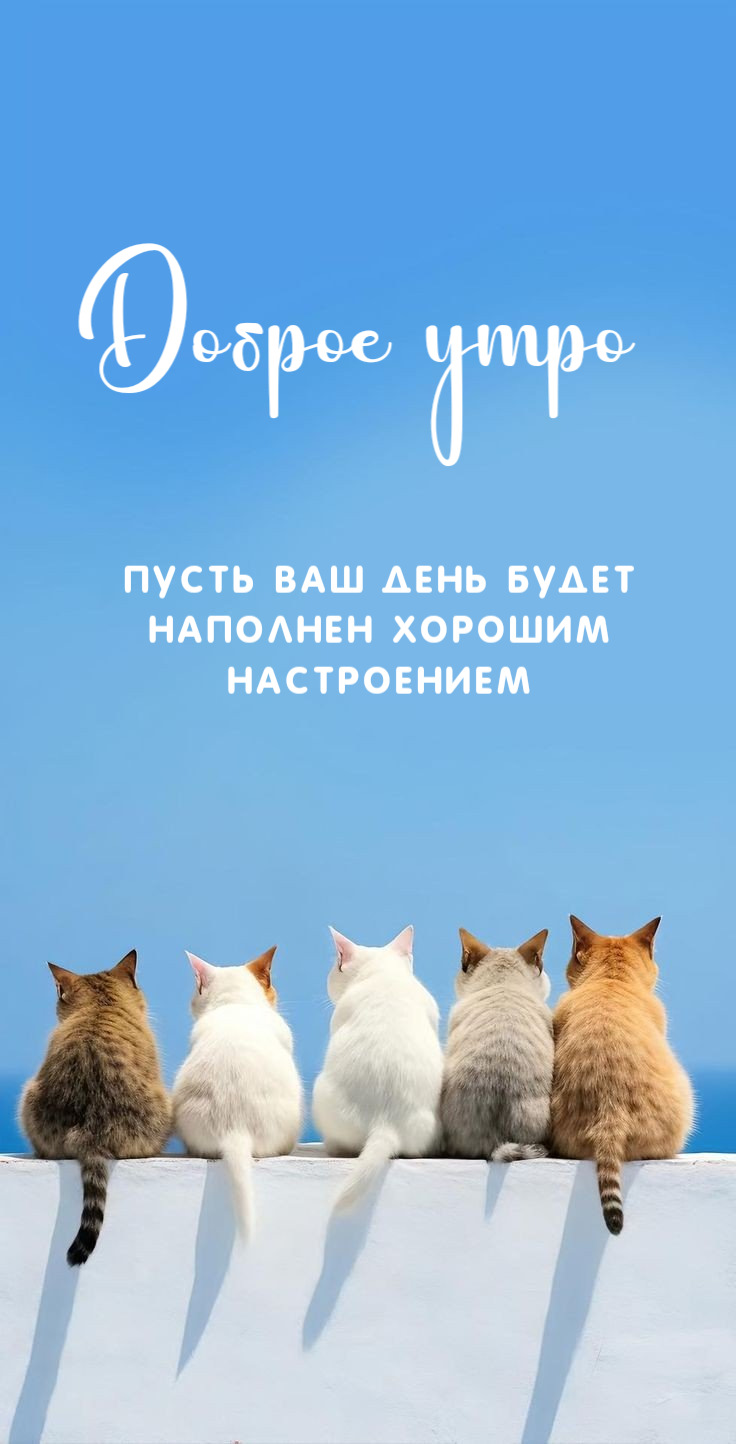 Доброе утро  Пусть Ваш день будет  наполнен хорошим  настроением