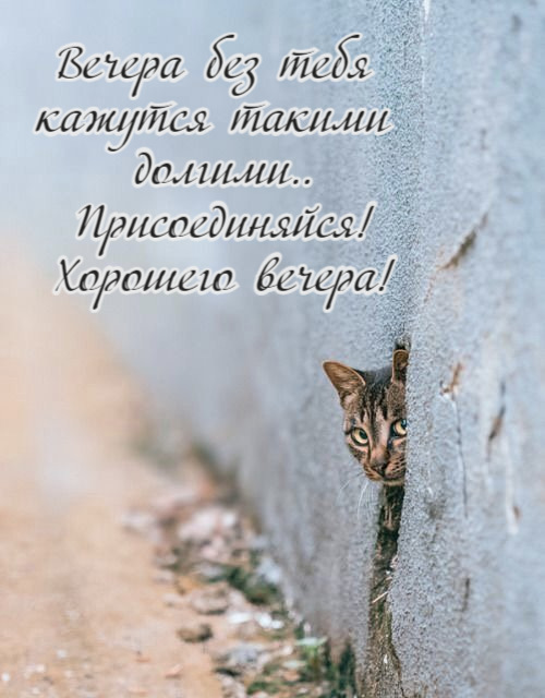 Вечера без тебя кажутся такими долгими.. Присоединяйся! Хорошего вечера!