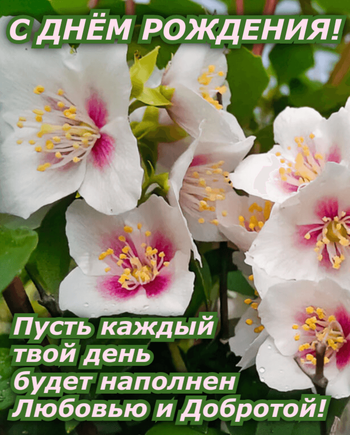 Пусть каждый твой день будет наполнен Любовью и Добротой!