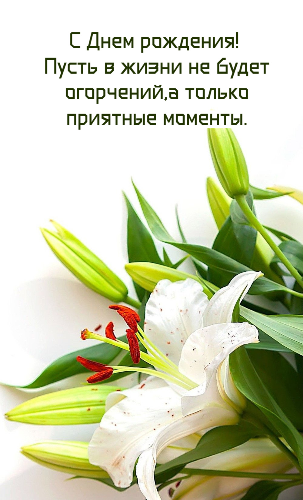 Пусть в жизни не будет огорчений