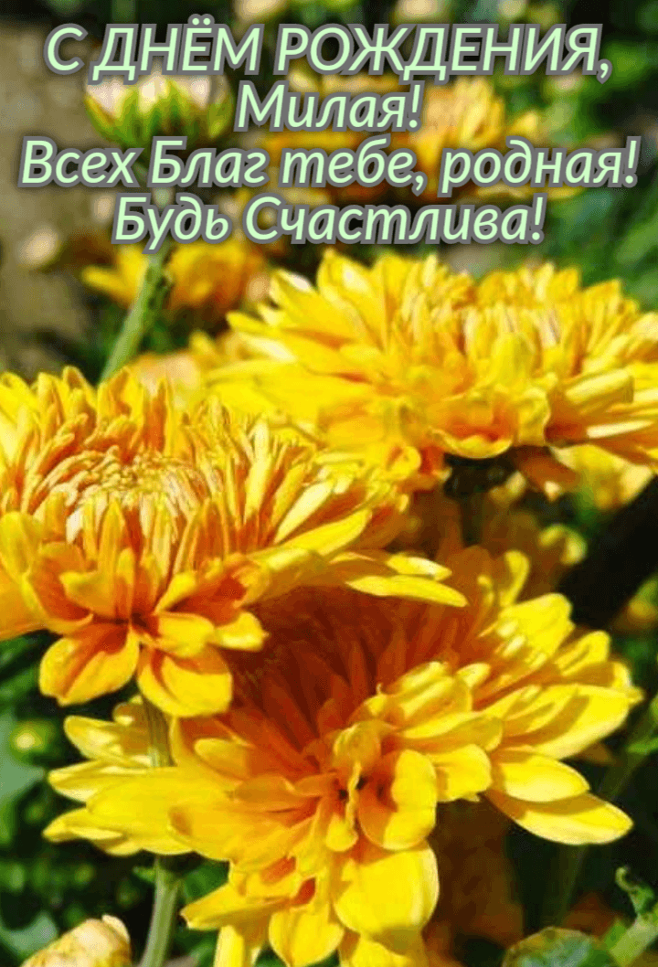 Всех Благ тебе, родная!