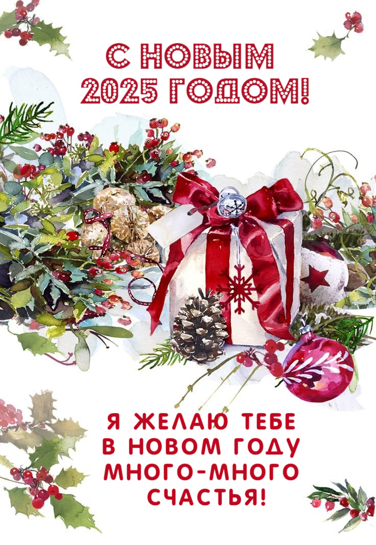 Я желаю тебе в новом году много-много счастья!