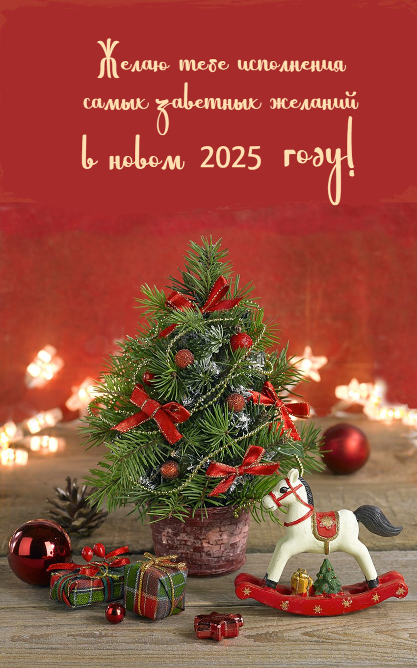 Желаю тебе исполнения самых заветных желаний в новом 2025 году!