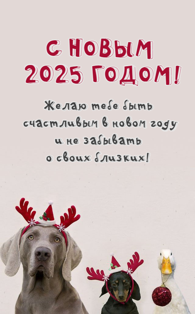 Желаю тебе быть счастливым в новом году и не забывать о своих близких!