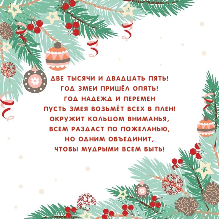 Две тысячи и двадцать пять! Год Змеи пришёл опять!