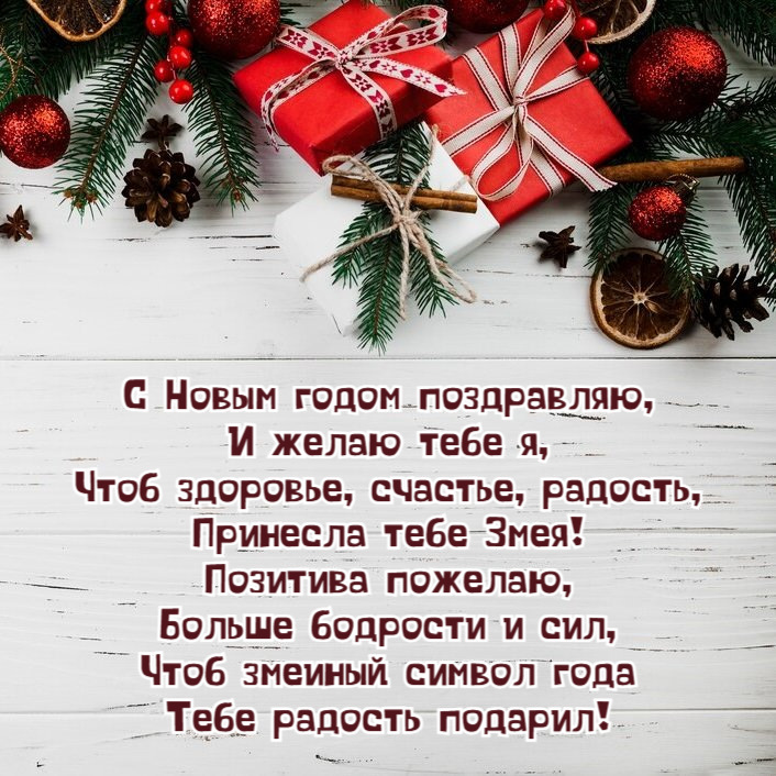 Чтоб здоровье, счастье, радость, Принесла тебе Змея!