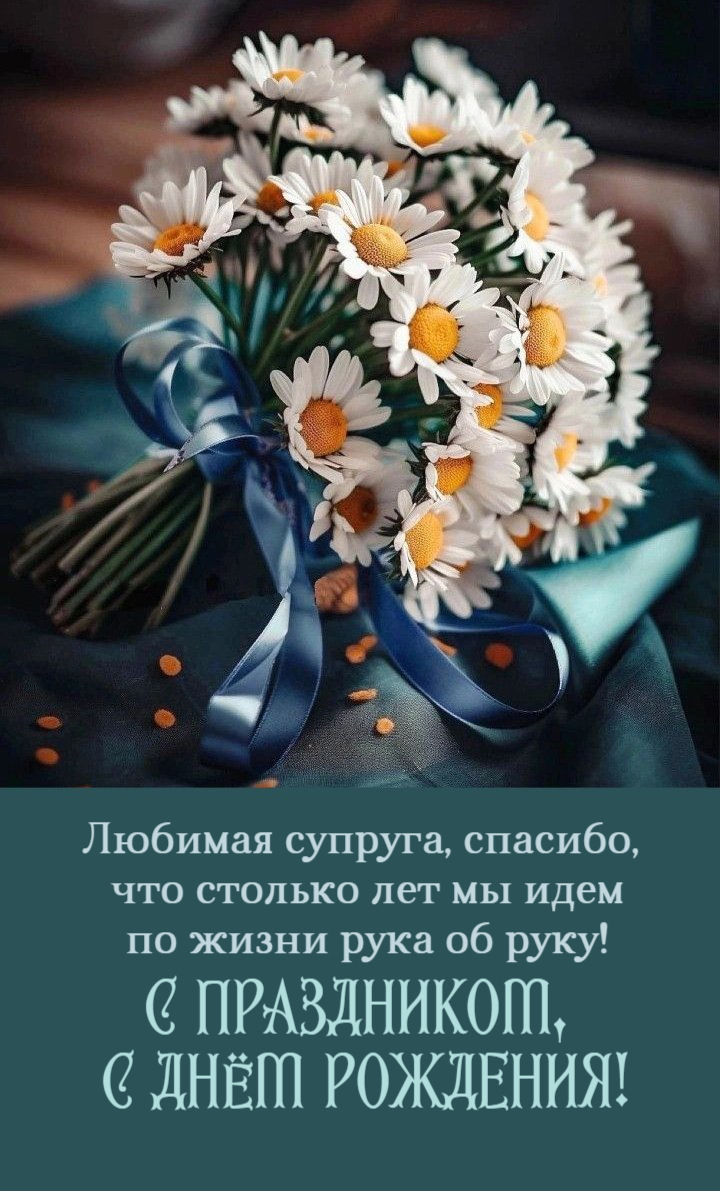 Любимая супруга, спасибо, что столько лет мы идем по жизни рука об руку!