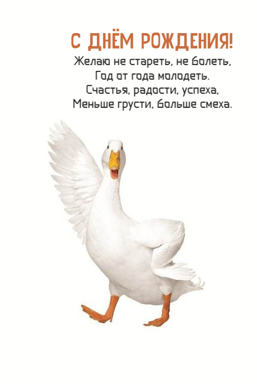Желаю не стареть, не болеть
