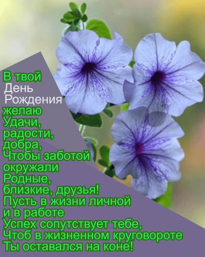 В твой  День Рождения желаю