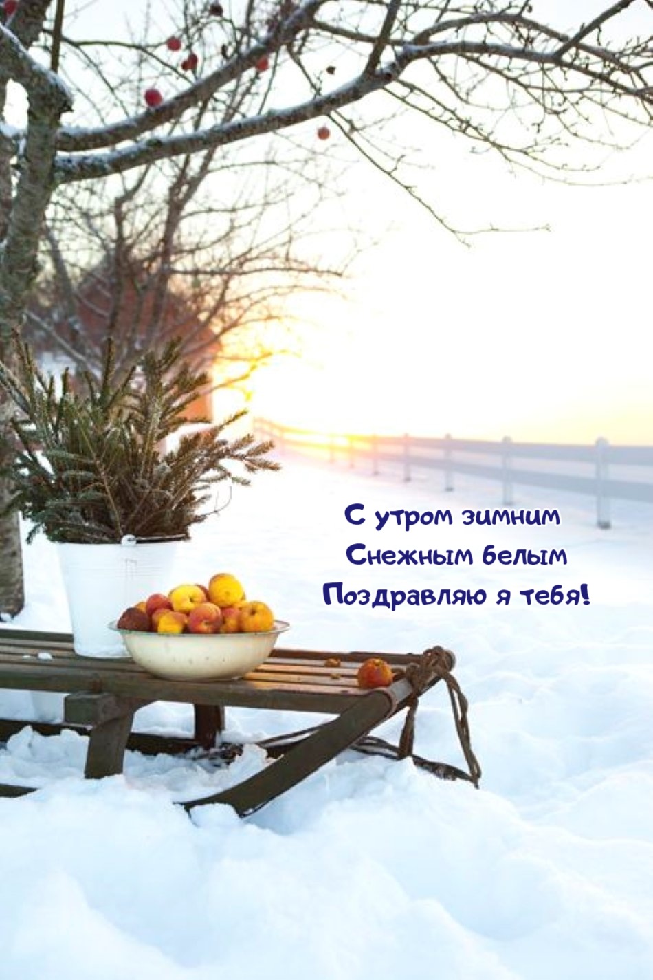 С утром зимним  Снежным белым Поздравляю я тебя!