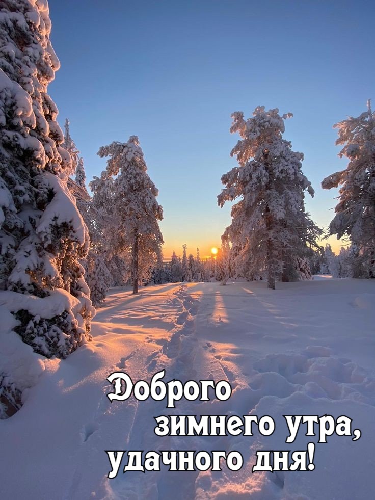 Доброго   зимнего утра, удачного дня!