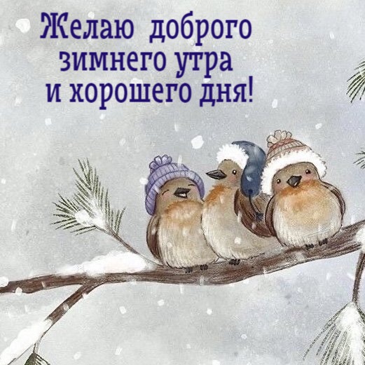 Желаю  доброго  зимнего утра  и хорошего дня!