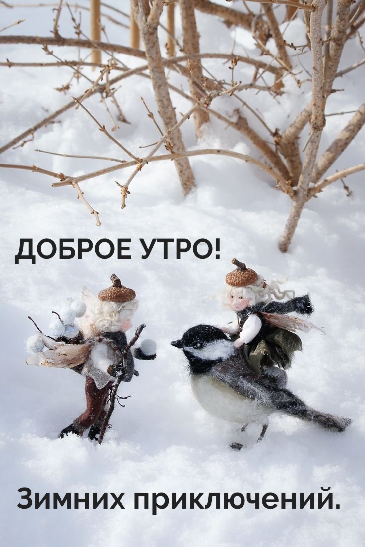 Зимних приключений.