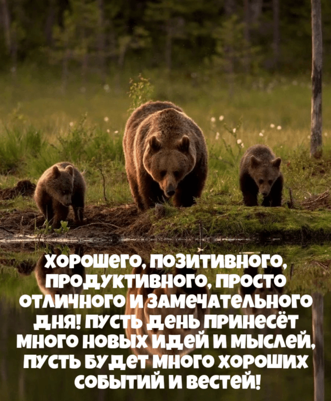 Хорошего, позитивного, продуктивного, просто отличного и замечательного дня!