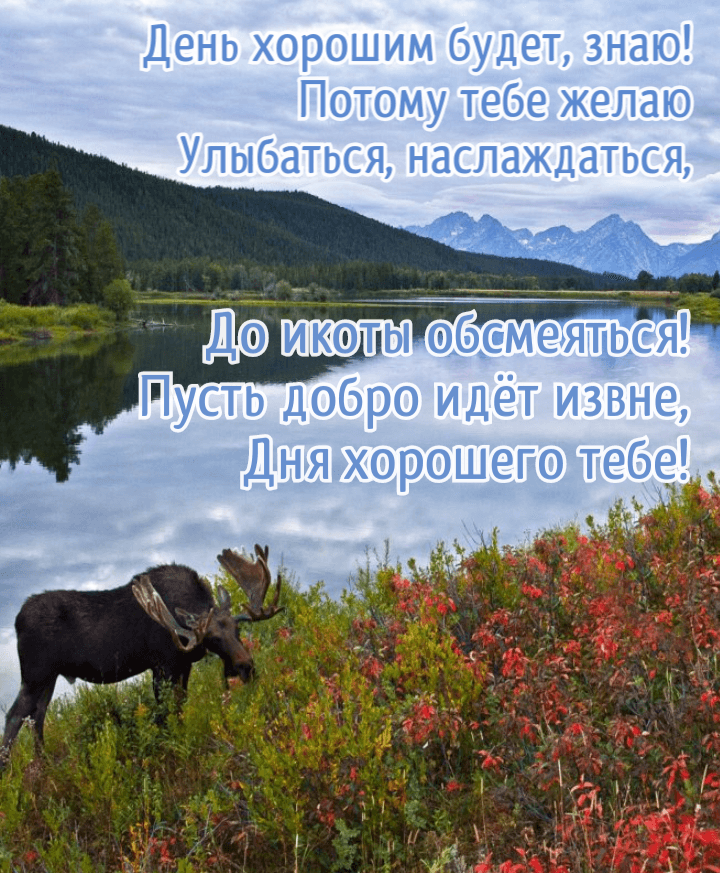 День хорошим будет, знаю!