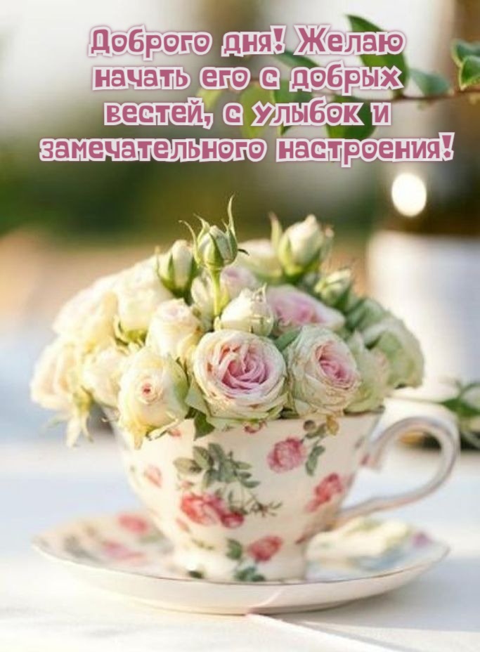 Доброго дня! Желаю начать его с добрых вестей