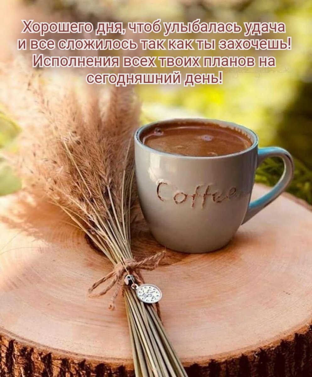Хорошего дня, чтоб улыбалась удача