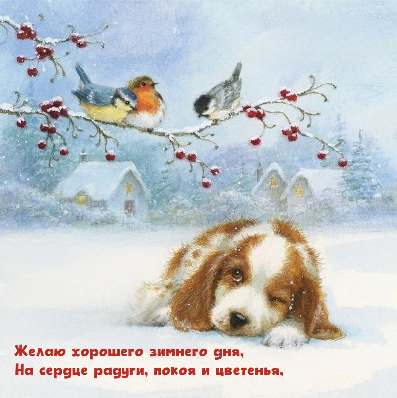 Желаю хорошего зимнего дня, На сердце радуги, покоя и цветенья,