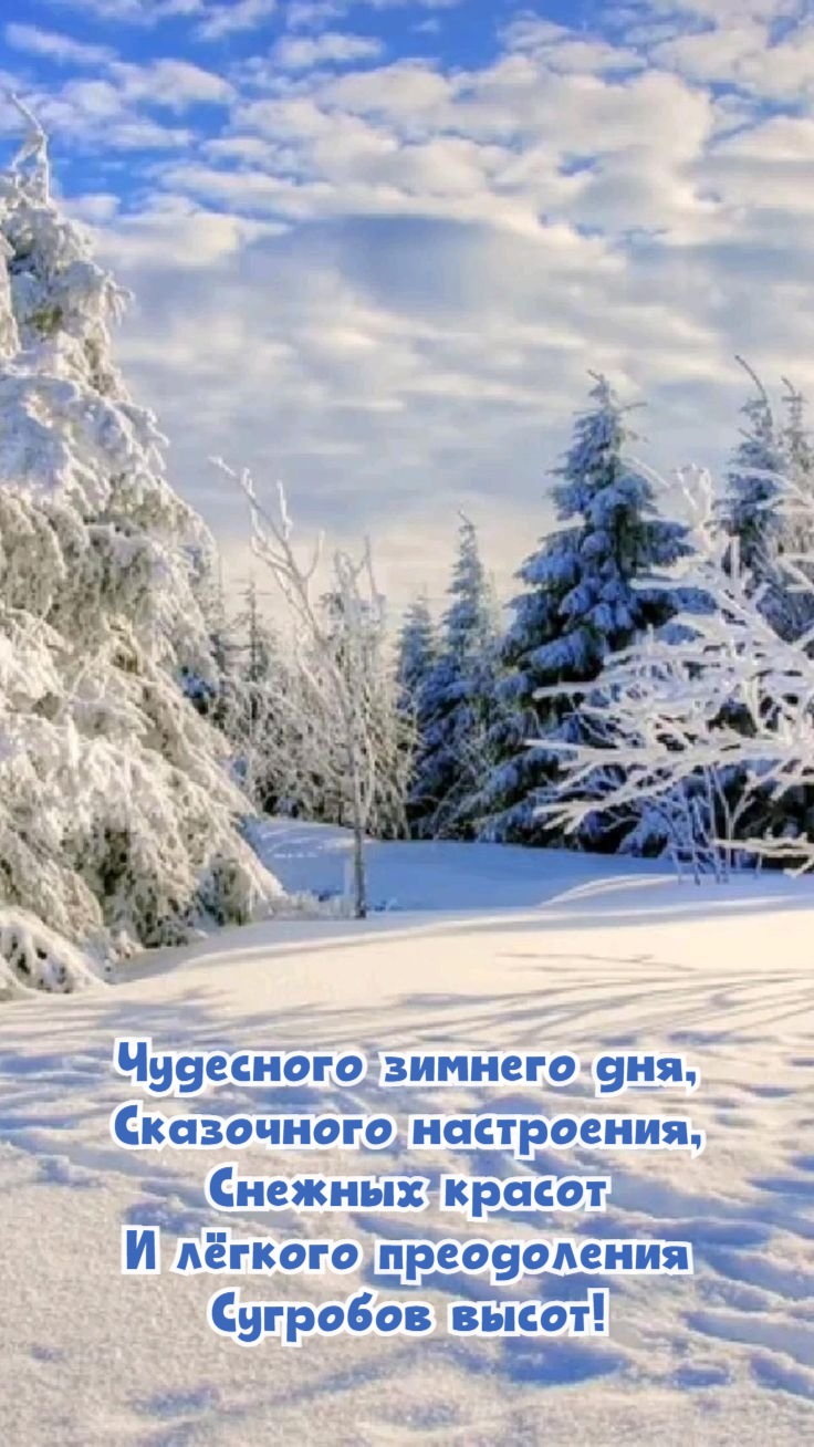 Чудесного зим него дня, Сказочного настроения, Снежных красот И лёгкого преодоления Сугробов высот!
