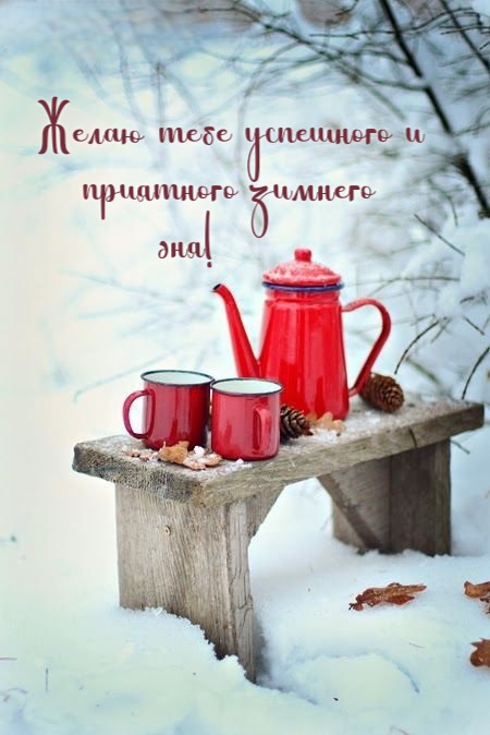 Желаю тебе успешного и приятного зимнего дня!