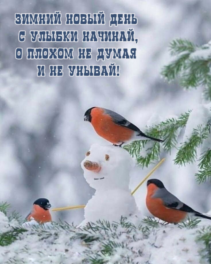 Зимний новый день  с улыбки начинай, О плохом не думая  и не унывай!