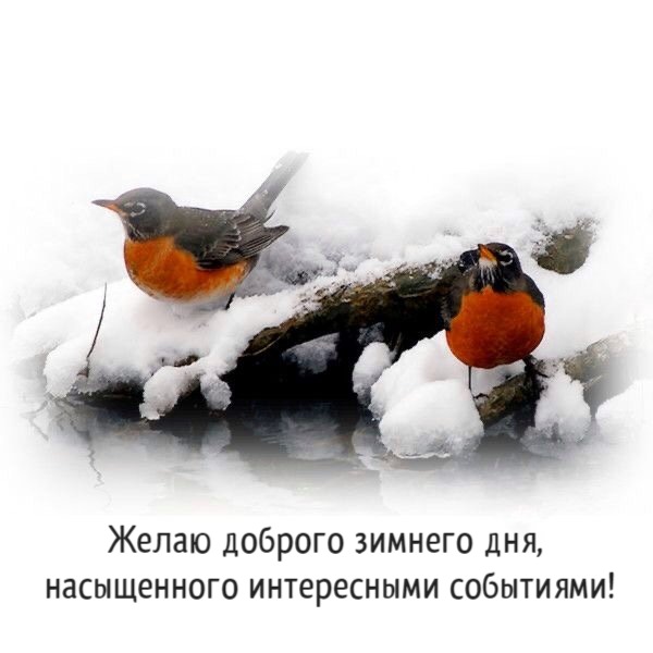 Желаю доброго зимнего дня,  насыщенного интересными событиями!