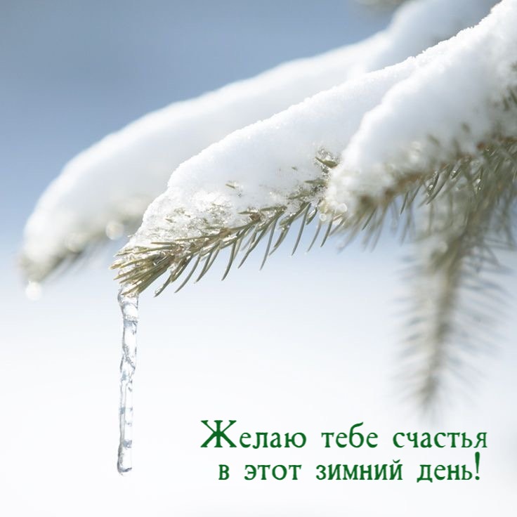Желаю тебе счастья  в этот зимний день!