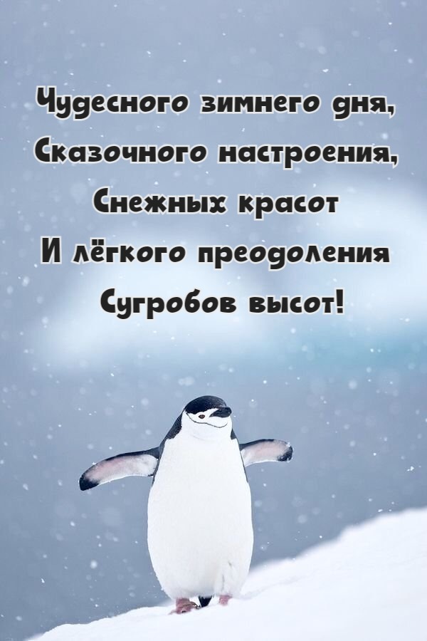 Чудесного зимнего дня