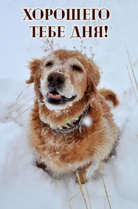 Хорошего  тебе дня!