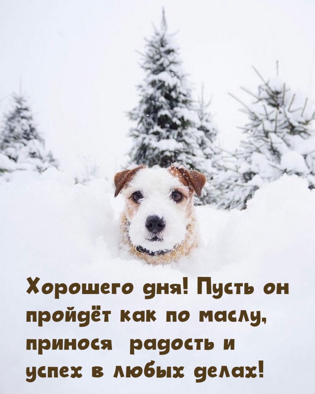 Хорошего дня!