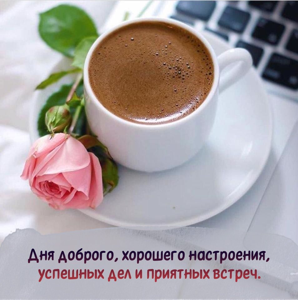 Дня доброго, хорошего настроения, успешных дел и приятных встреч.