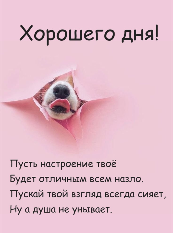 Пусть настроение твоё Будет отличным