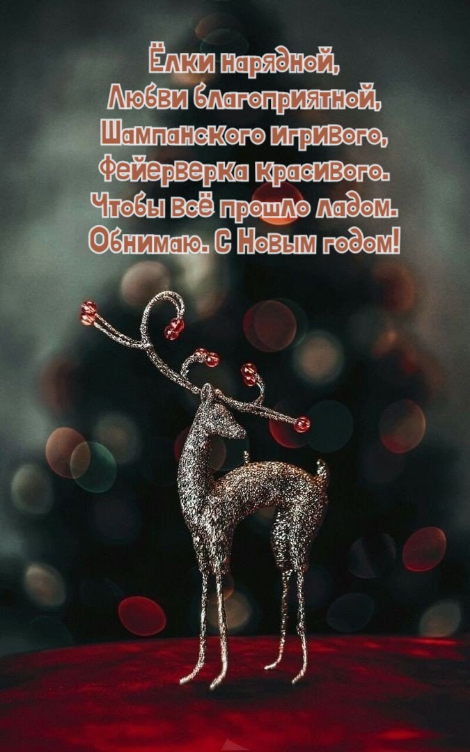 Чтобы всё прошло ладом. Обнимаю. С Новым годом!