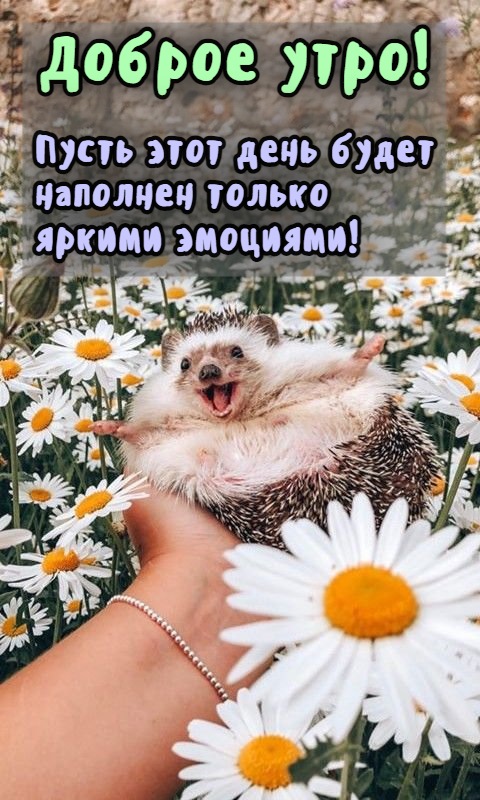 Пусть этот день будет наполнен только яркими эмоциями!