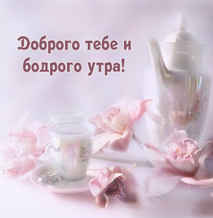 Доброго тебе и  бодрого утра!