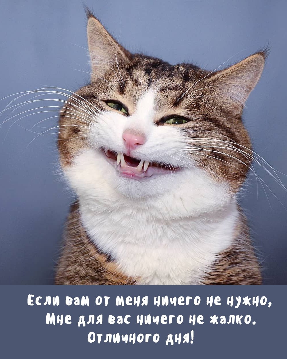 Если вам от меня ничего не нужно,
